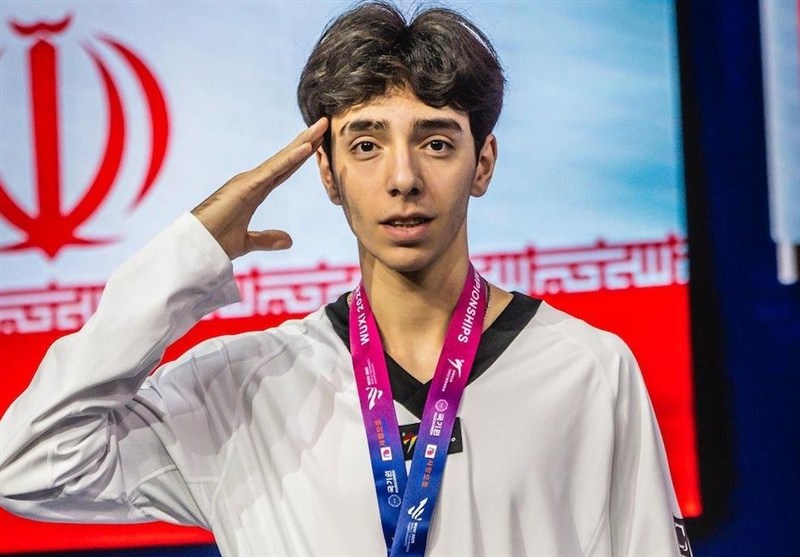 تکواندو , تکواندو ایران , مهدی حاجی‌موسایی , مسابقات جهانی تکواندو , 