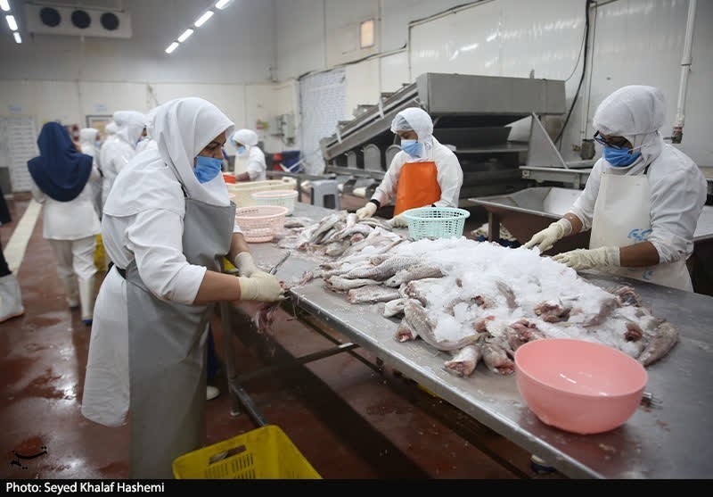 اخبار استان بوشهر , استاندار بوشهر , 