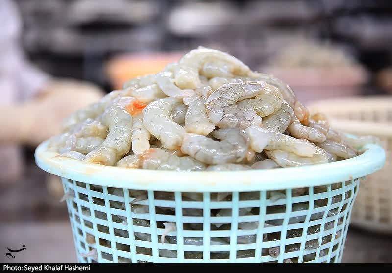 اخبار استان بوشهر , استاندار بوشهر , 