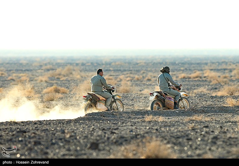 حیات وحش , سازمان محیط زیست , 