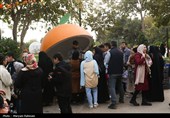 جشنواره طعم و رنگ پاییز در باغ گیاه شناسی مشهد