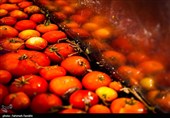گوجه‌فرنگی خراسان شمالی پشت مرزهای صادرات/ 68 هزار تن محصول کجاست؟