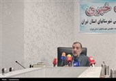 تعزیرات استان تهران قاچاقچیان خودرو و ماینر را نقره‌داغ کرد