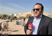 فصل دوم کاوش‌های باستان‌شناسی در چشمه‌علی شهر ری آغاز شد+فیلم