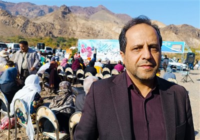 کشت انار در 156 هکتار از باغات اردبیل/برداشت انار در اردبیل آغاز شد