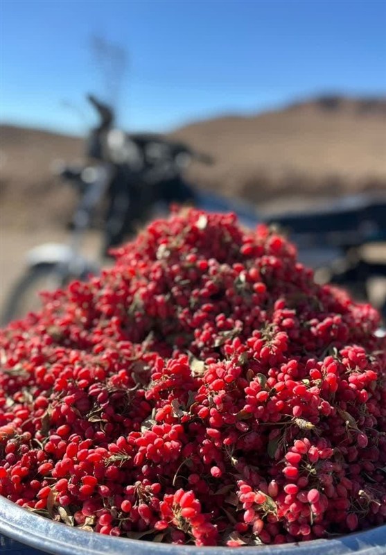 اخبار استان خراسان جنوبی , اخبار بیرجند , 