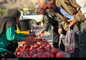 برگزاری دومین جشنواره انار نمهیل خلخال با استقبال پرشور
