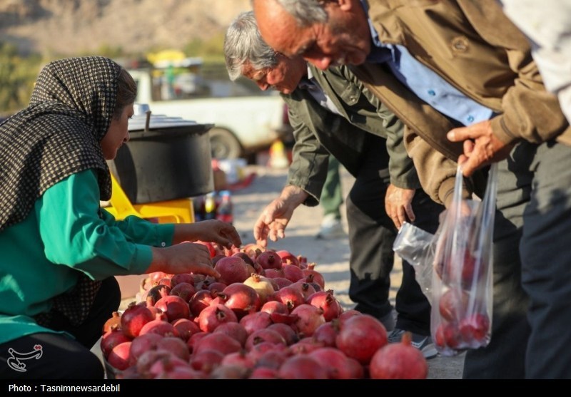 برگزاری دومین جشنواره انار نمهیل خلخال با استقبال پرشور