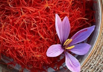 خراسان رضوی مقام اول تولید سه گیاه دارویی ارزآور در کشور