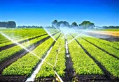 100 میلیون دلار تجهیزات آبیاری محصولات کشاورزی صادر شد