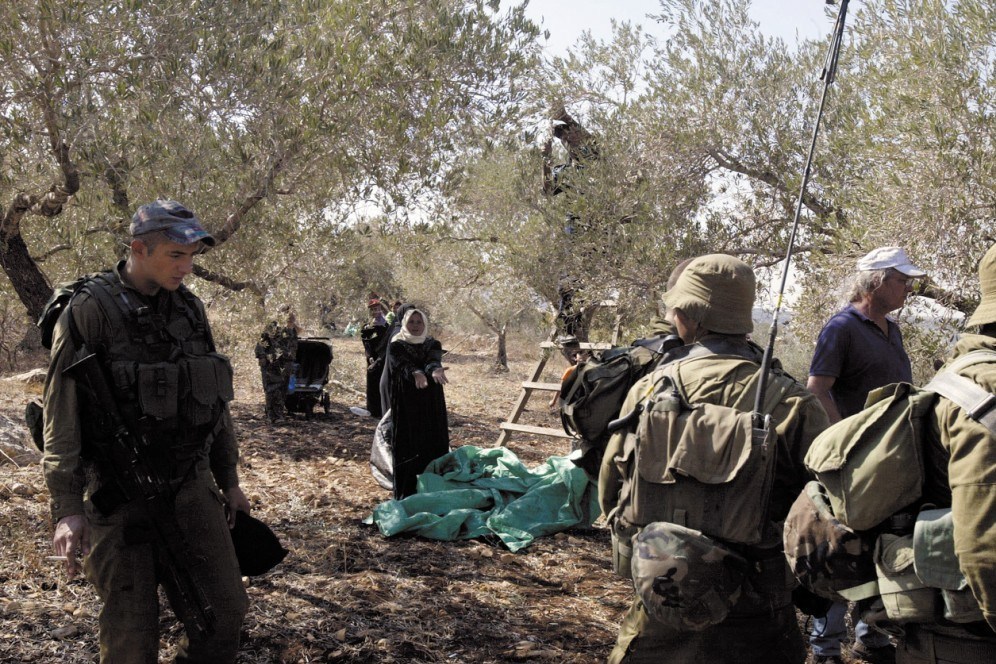 احتلال فلسطین عام 1948 , تشکیلات خودگردان فلسطین , عرفات , أشجار الزیتون , شجرة الزیتون , کرانه باختری , الضفة الغربیة , صهیونیسم , تخریب , بیت المقدس , 