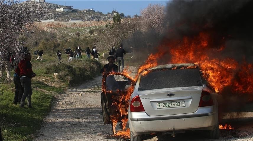 احتلال فلسطین عام 1948 , تشکیلات خودگردان فلسطین , عرفات , أشجار الزیتون , شجرة الزیتون , کرانه باختری , الضفة الغربیة , صهیونیسم , تخریب , بیت المقدس , 