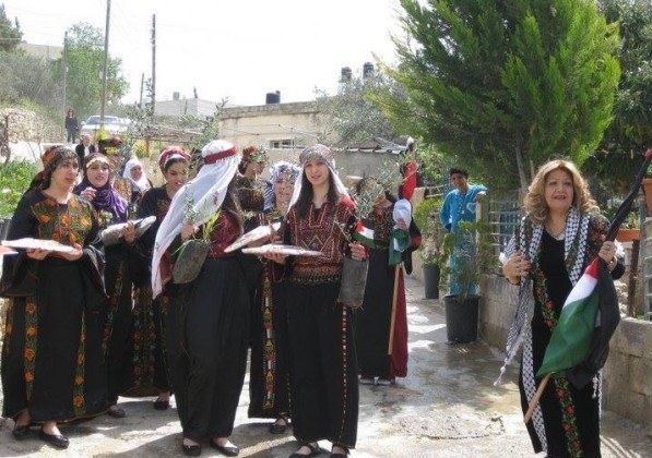 احتلال فلسطین عام 1948 , تشکیلات خودگردان فلسطین , عرفات , أشجار الزیتون , شجرة الزیتون , کرانه باختری , الضفة الغربیة , صهیونیسم , تخریب , بیت المقدس , 