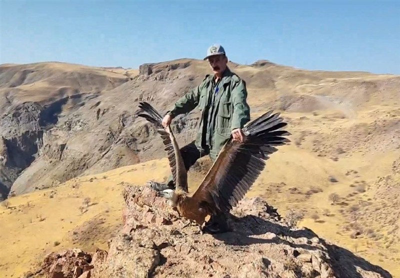 محیط‌بان , آذربایجان شرقی , اخبار استان آذربایجان شرقی , 