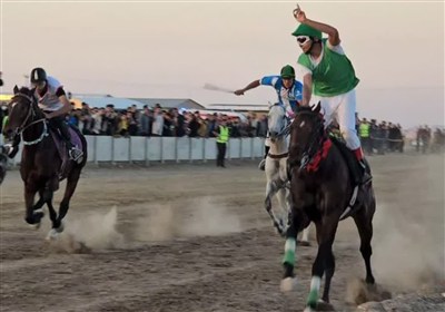 رئیس هیات سوارکاری استان مرکزی انتخاب شد