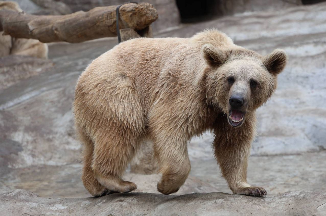 پایش و نظارت در محیط زیست , 