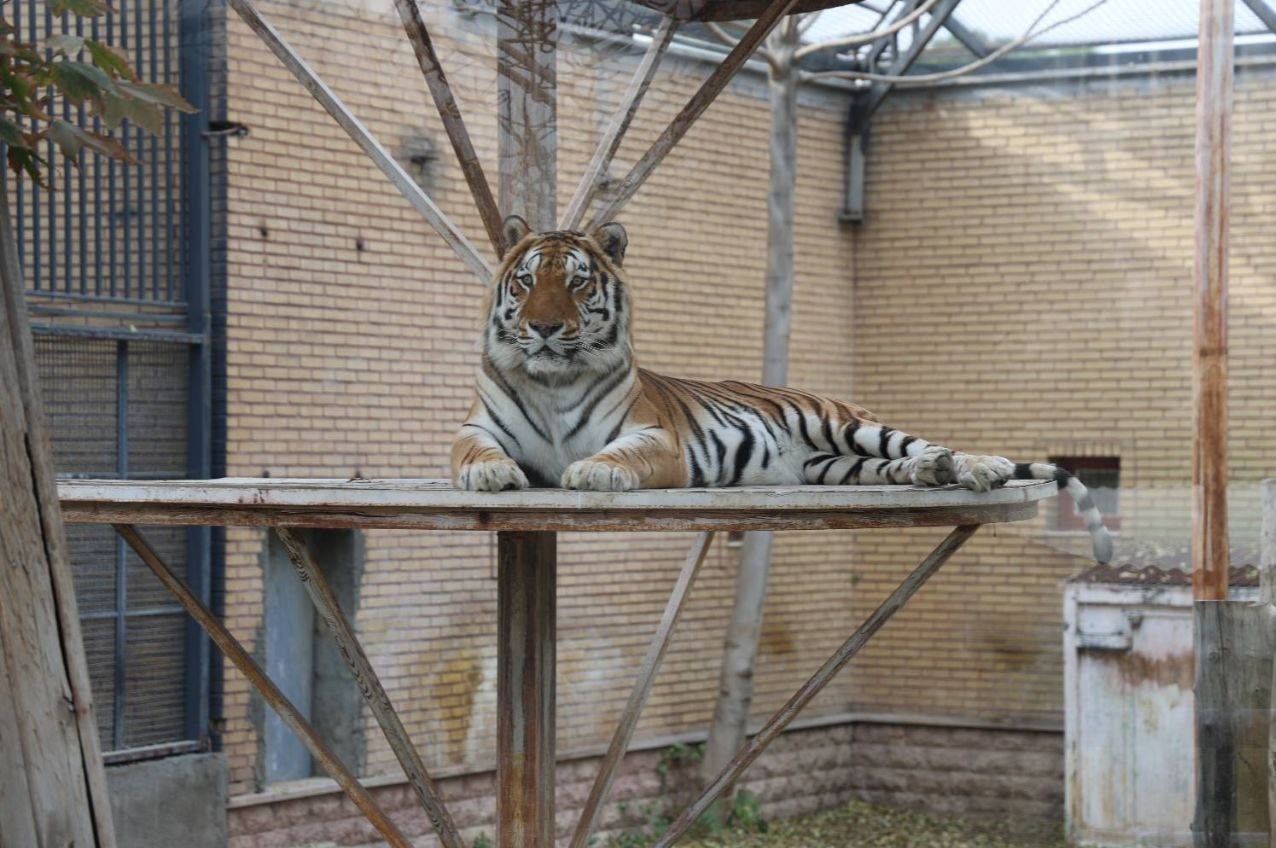 پایش و نظارت در محیط زیست , 