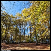 طبیعت پاییزی - گیلان