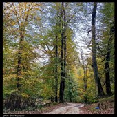 طبیعت پاییزی - گیلان