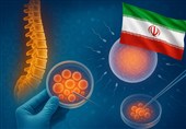 Прорыв Ирана в лечении повреждений спинного мозга и бесплодия с помощью клеточных технологий