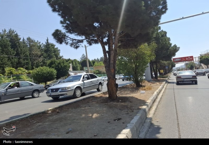 اخبار یاسوج , 