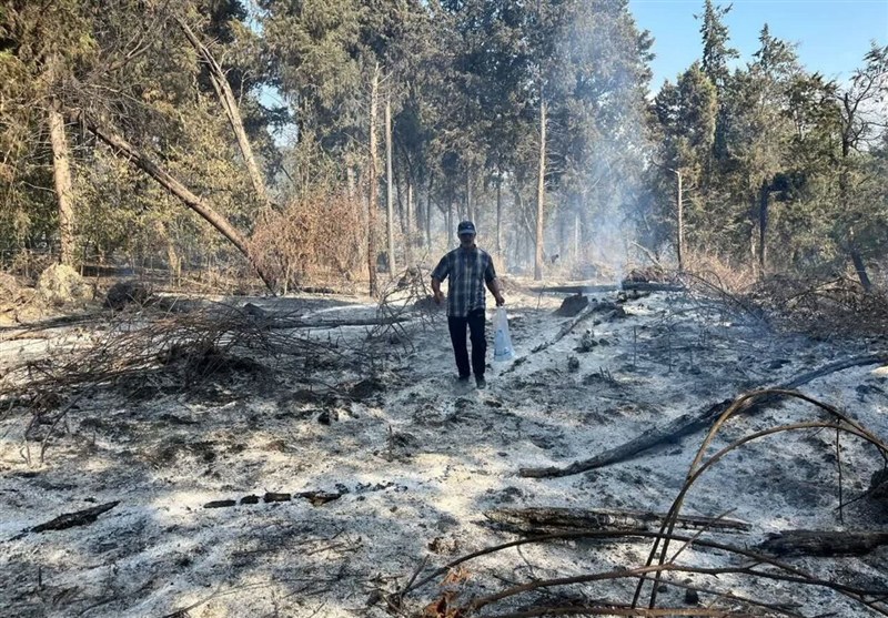 اخبار استان مازندران , اخبار چالوس , جنگل های هیرکانی , آتش سوزی جنگل ها و مراتع , مدیریت بحران , 