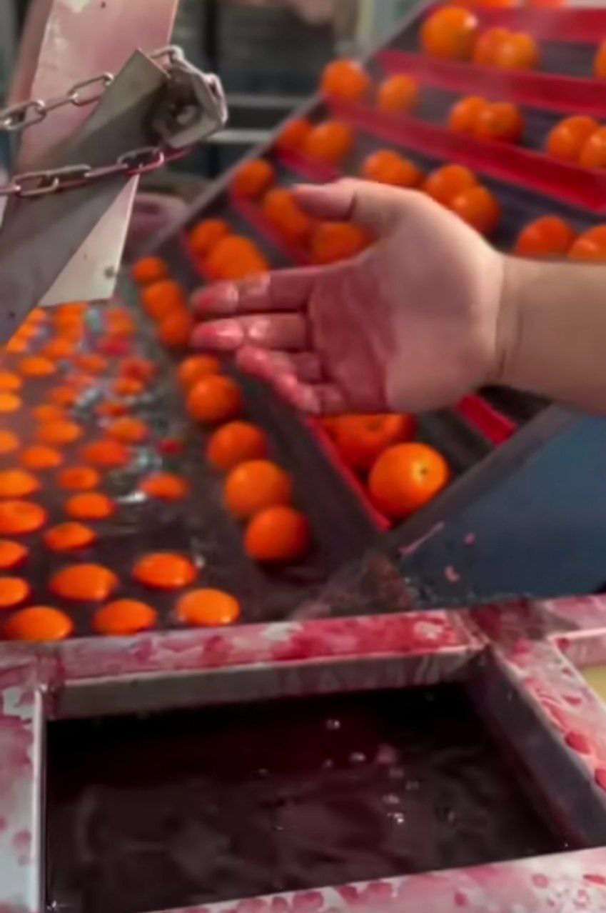 سازمان غذا و دارو , وزارت بهداشت , بهداشت و درمان , بازار میوه , 