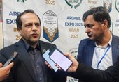 صادرات روزانه 450 تن سیب زمینی از گمرک بیله سوار