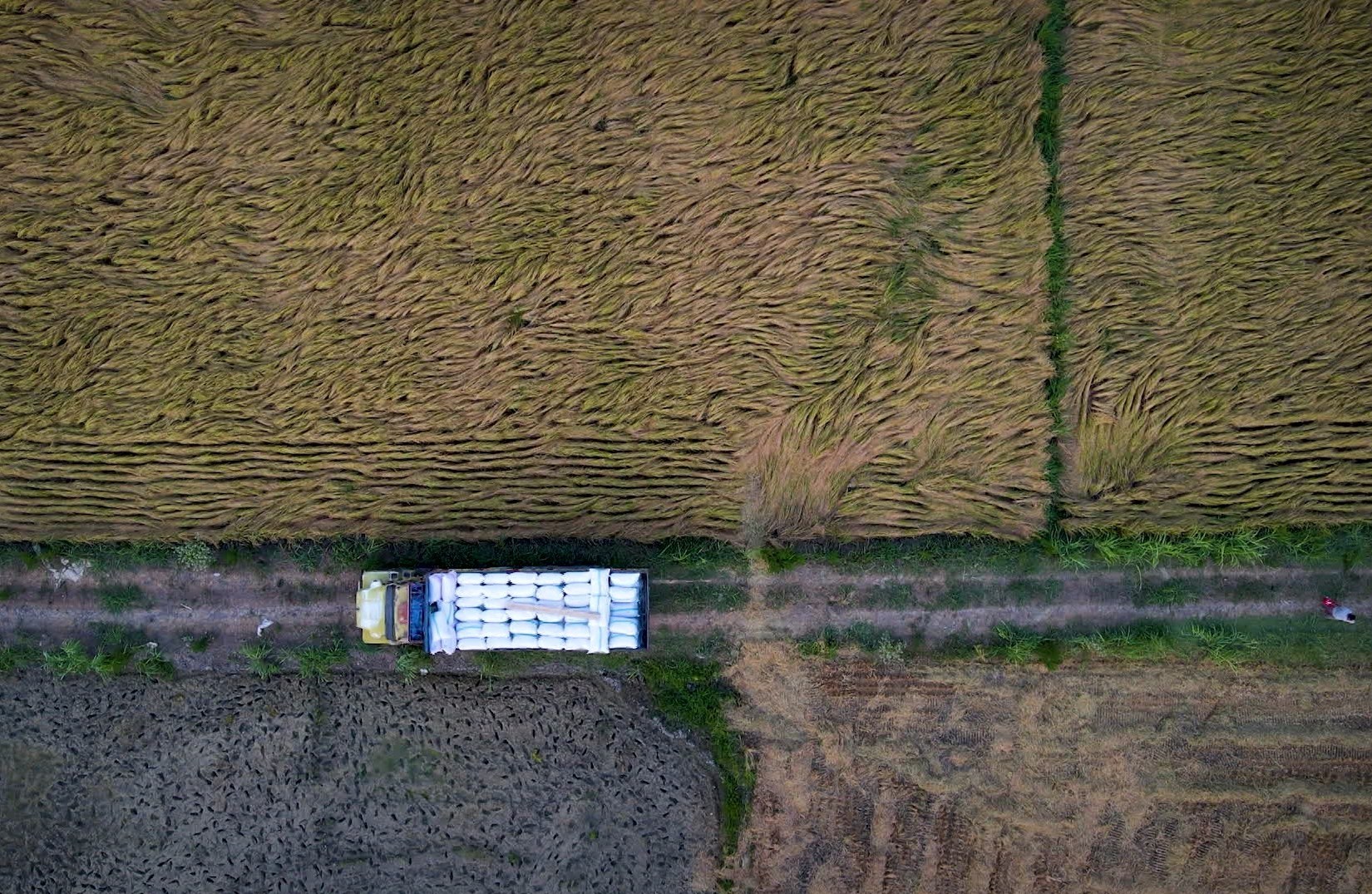 سینمای مستند , بحران آب ,
