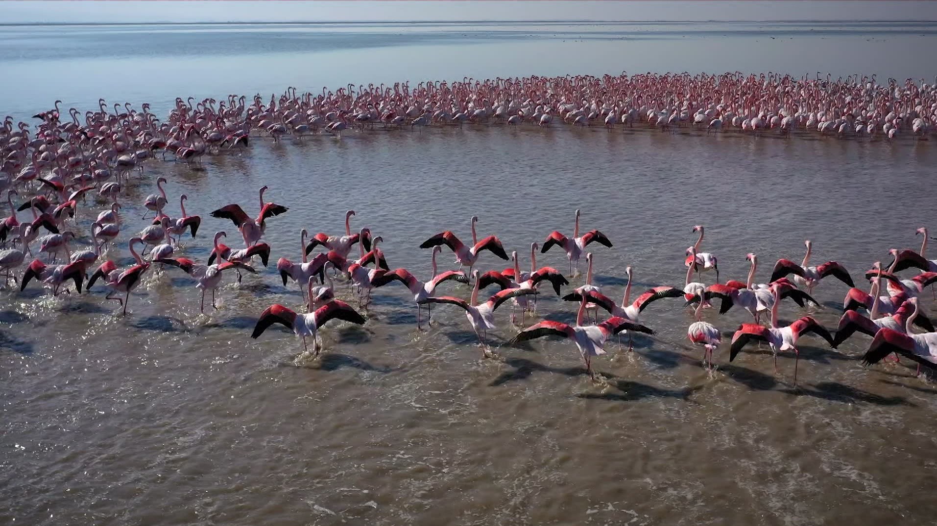 سینمای مستند , بحران آب ,