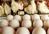 خراسان جنوبی پایین‌ترین قیمت مرغ و تخم‌مرغ کشور را دارد