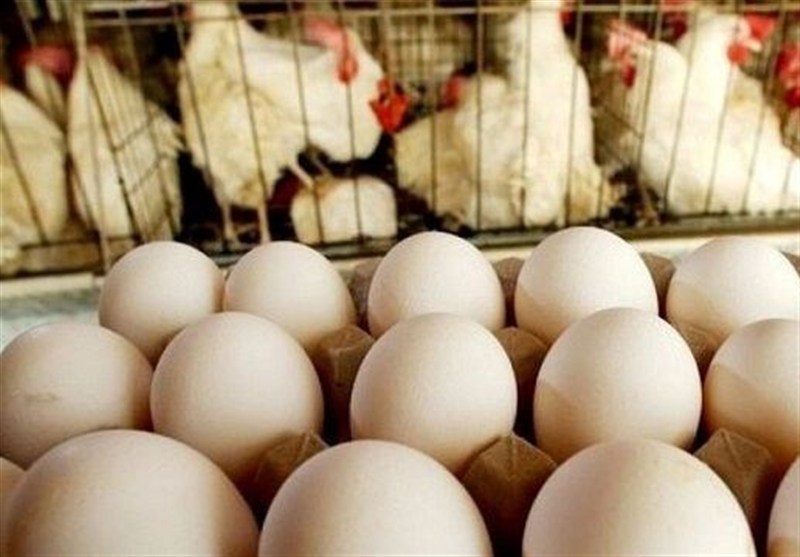 خراسان جنوبی پایین‌ترین قیمت مرغ و تخم‌مرغ کشور را دارد