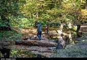 طبیعت پاییزی چشمه لال گلستان