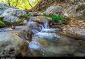 People Enjoy Autumn in Cheshmeh Lal Forest