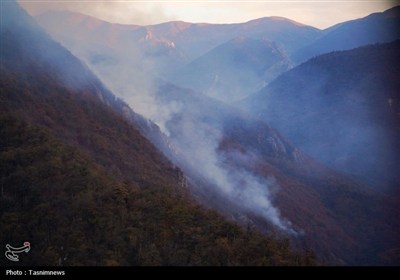 آتش‌سوزی جزئی در جنگل الیت/ حریق بلافاصله مهار شد