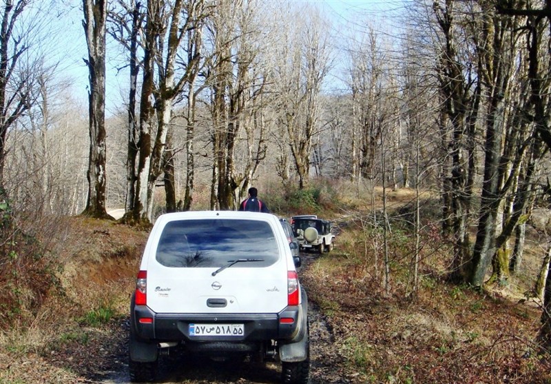 اخبار ساری , نظام مسائل استان مازندران , نظام مسائل استان , 