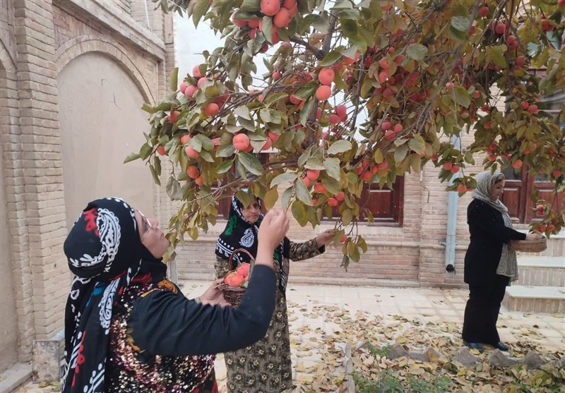 اخبار استان همدان , اخبار نهاوند , 