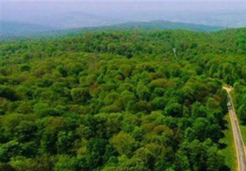 کاهش 48 درصدی خسارات حریق در منابع طبیعی کرمانشاه