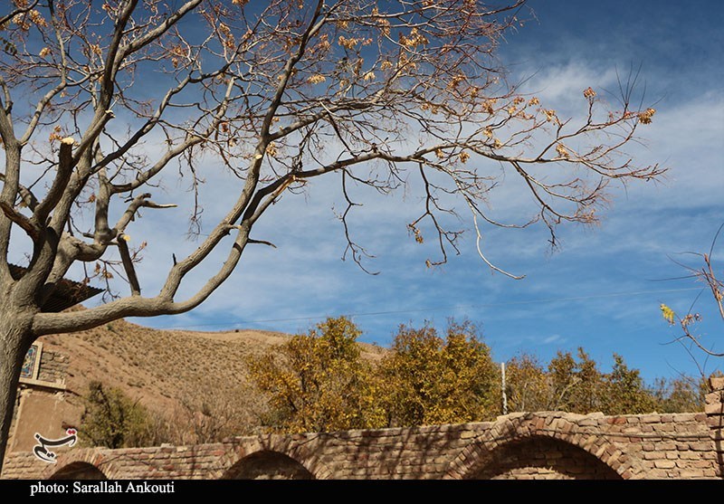پرواز دوباره سهره‌های طلایی در آسمان چرام