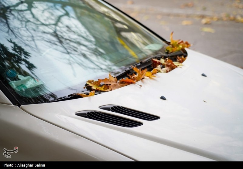 `پاییز , اخبار استان خراسان شمالی , 