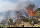 بسیج تمام‌عیار منابع طبیعی کرمانشاه برای مقابله با حریق