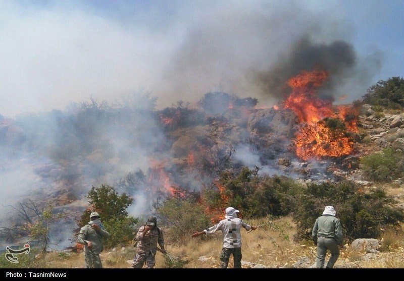 اخبار ساری , نظام مسائل استان , نظام مسائل استان مازندران , 