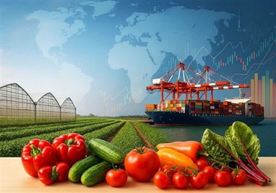 رشد 147 درصدی درآمدهای گمرک خراسان شمالی