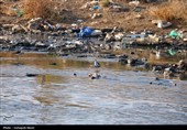 فاجعه زیست‌محیطی در غرب ایران/قره‌سو در محاصره "فاضلاب و پسماند"/ اکولوژیک منطقه نابو‌د شد‌