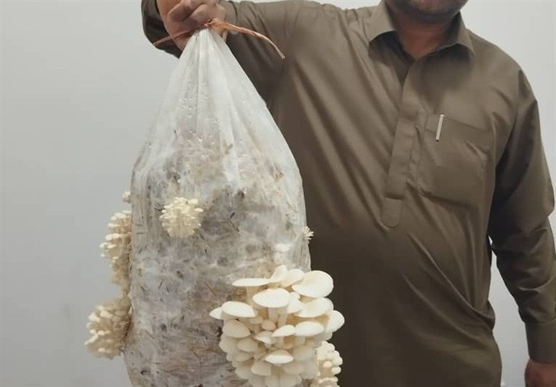 اخبار بلوچستان , 