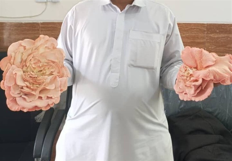 اخبار بلوچستان , 