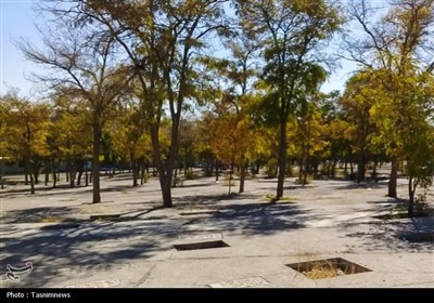 پایان سال‌ها بلاتکلیفی آرامستان دهخدا/ قفل مالکیت قبرستان شکست/ روایت تحول دهخدا