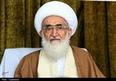 آیت‌الله نوری همدانی به مرجعیت عراق تسلیت گفت