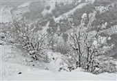 بارش برف در فریزهند نطنز رکورد زد/ ارتفاع برف به 70 سانتی‌متر رسید