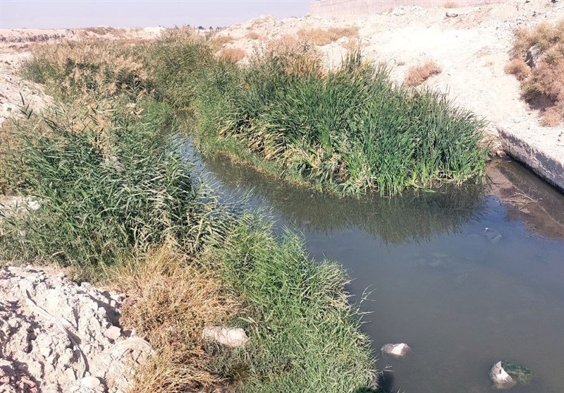 اخبار بهارستان , آلودگی های زیست محیطی , پایش و نظارت در محیط زیست , کمیسیون بهداشت و درمان مجلس شورای اسلامی ایران , بحران آب , مدیریت بحران , نظام مسائل استان تهران , 